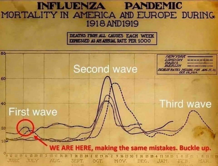 Influenza Pandemic Graph
